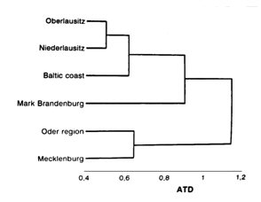 Diagram showing how the clusters of measurements relate geographically to one another