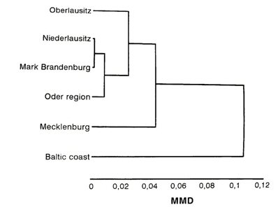 Diagram showing the geographic variation in condylobasal length