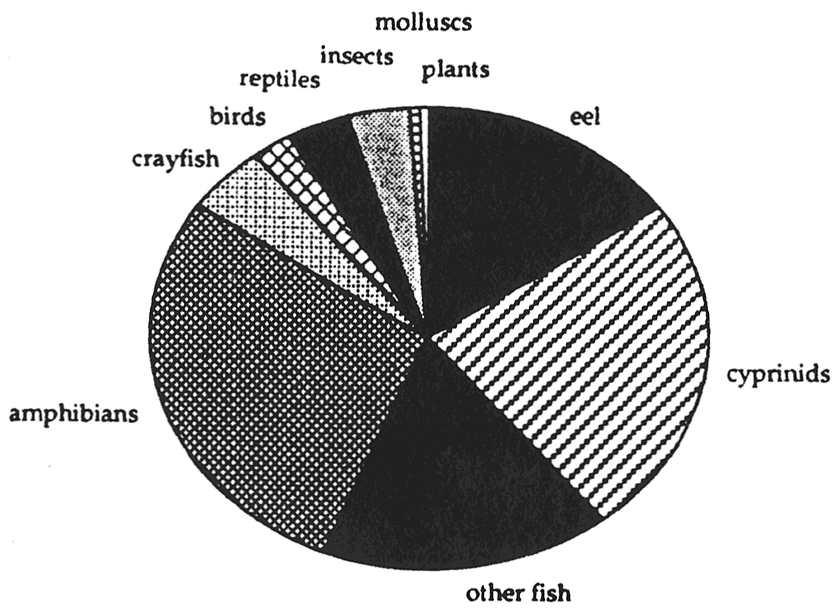 Sea Otter Population Chart