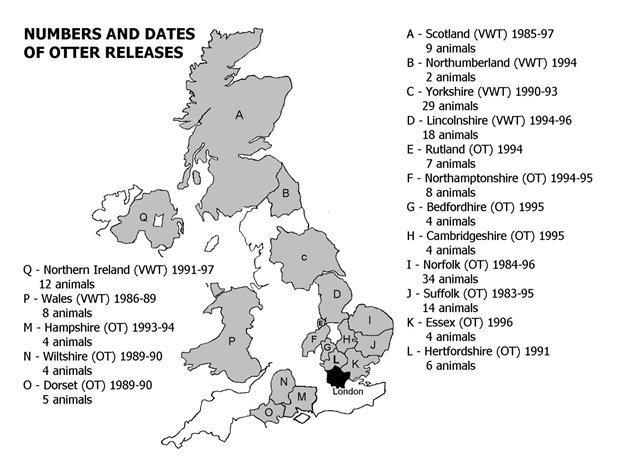 Map of the United Kingdom showing the counties in which otters were released plus the dates and number of otters released in each county, as in Table 1. Click for larger version