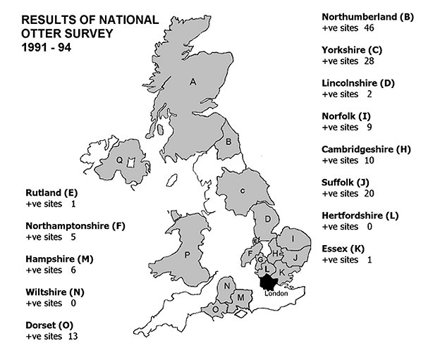 Map of the UK showing the same areas as Figures 1 and 2 with the number of positive sites for otters in 1991-94
Northumberland (46 positive sites);
Yorkshire (28);
Lincolnshire (2);
Norfolk (9);
Cambridgeshire (10);
Suffolk (20);
Hertfordshire (0);
Essex (1);
Rutland (1);
Northamptonshire (5);
Hampshire (6);
Wiltshire (0);
Dorset (13).
Click for larger version.