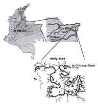 Map showing the study are in the east of Colombia adjacent to Venezuela