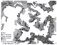 Map of river showing vegetation, farms, latrines and observations of otters feeding