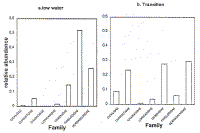 Graphs showing that at low water most fish caught were Pimelodidae but at transition Curimatidae, Myrenidae and Serrasalmidae are equally important