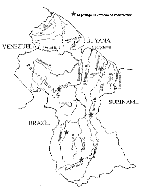 Map of Guyana showing location of five sightings of giant otters