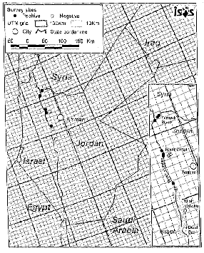 Map of study area showing clusters of positive 
            otter signs at the Syria/Jordan/Israel border on the River
            Yarmuk, another near the River Zarqa's confluence with the
            Jordan, and a third on the Jordan just above the entrance
            to the Dead Sea