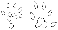 Diagram of paw prints taken from plaster cast showing pointed toe marks and interdigital pad marks