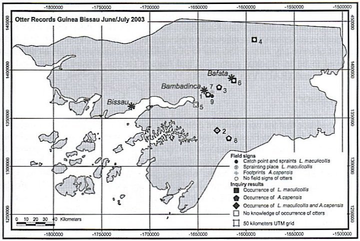 Map showing study areas and what otters were found where