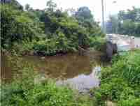 Small tributary about 15 feet across, with very well vegetated sides, and a low bridge with little clearance over the water, which carries the road