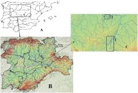 Map of Spain showing study area in central Spain, toward the Portuguese border, with the River Torres draining north eastward