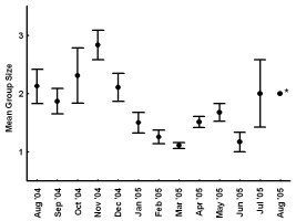 Graph showing peaks in November 04 and July 04