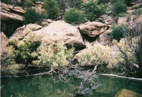 Very large rock at rivers' edge with scrub and other rocks surrounding it