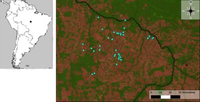 Map showing the location of the study area in approximately the centre of South America, and a larger scale map showing the location of the interviews, and the amount of forest cover.  Click for larger version