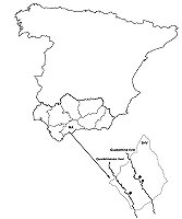 Map of Spain showing the position of Andalusia in the far south, and the position of the study area within Andalusia