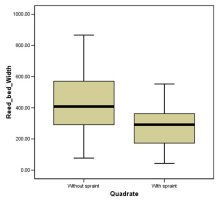 Graph showing thatmore spraint was found by narrow reed beds than wider ones.  Click for larger version