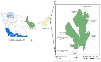 Map of Iran showing the study area in the north west bordering the Caspan; the wetland is V-shaped around a large tongue of open water from the sea.  Click for larger version