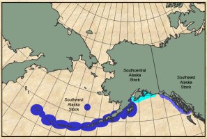 Map of Alaska and Canada showing sea otters from southern Alaska across the Aleutian Islands; no otters are shown along the Canadian coast south of the border with Alaska.  Click for larger version