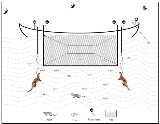 Diagram showing the net attached to poles in front of the boat, the two trained otters on tethers held by fishermen, and the free-swimming juvenile otter.