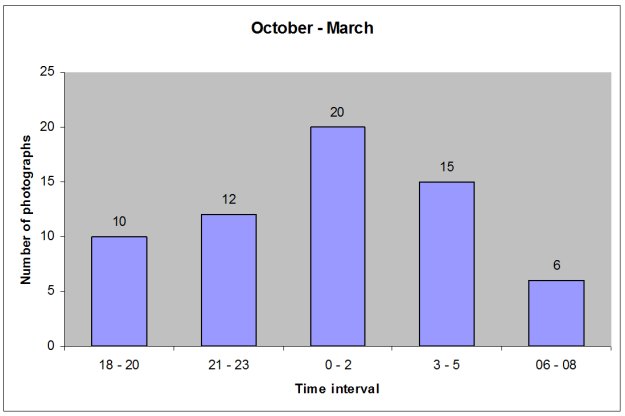 Grpah showing most otters were seen between midnight and 2am, and fewest between 9am and 8am;  readings taken from 6pm to 8am