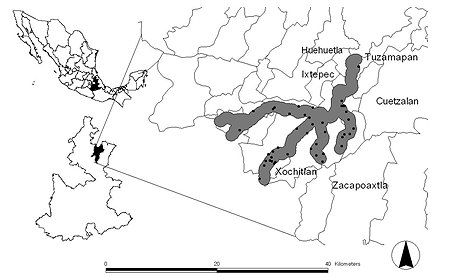 Map showing location of study area in central Mexico, and detail of Cozoltepec river canyon and otter locations.  Click for larger version. 