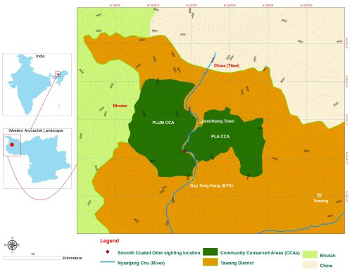 Map showing location of study area in northeast India, near the borders with China (Tibet) and Bhutan, the course of the river and the extent of the Community Conserved Areas (CCAs) either side of it; the sighting was on the river with the CCAs on either side. Click for larger version.