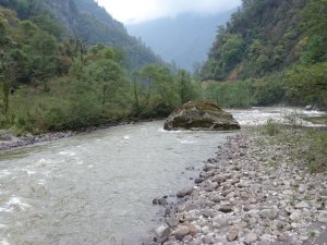 Steep-sided valley in the mountains, dense forest almost to the river bank.  Rocky shores with scrub, and fast-flowing river.  Large rock in the centre of the river. Click for larger version.