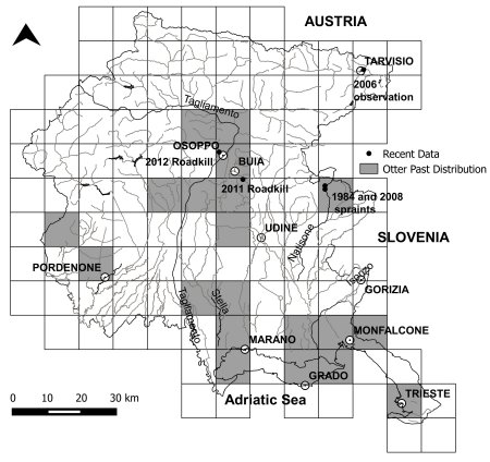 Map of north eastern Italy showing areas where otters were historically recorded, mainly in the centre and south, with a small area on the east side, and another on the west.  The recent sightings are in the extreme north east, the east and the central area.  Click for larger version