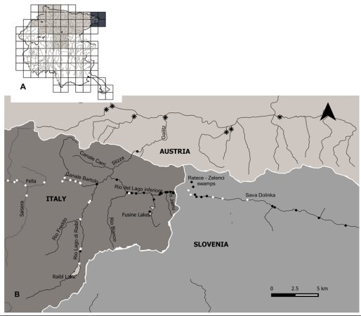 Map of north eastern Italy showing areas where otters were historically recorded, mainly in the centre and south, with a small area on the east side, and another on the west.  The recent sightings are in the extreme north east, the east and the central area.  Click for larger version