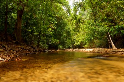 Shallow river with shallow stoney banks and overhanging trees.  Click for larger version