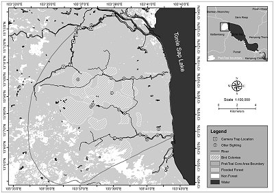 Map of central Cambodia showing Tonle Sap lake and adjoining provinces, with the study area, Prek Toal, on the north west edge of the lake.  Detailed map of Prek Toal showing the principal rivers flowing into the lake (Preak Da, Preak Spot, Preak Preah Dam Chheu), bird colonies, flooded forest and non-forest areas, with camera trap locations and otter sighting locations (along the main rivers, but also in flooded forest in bird colony areas. Click for larger version.