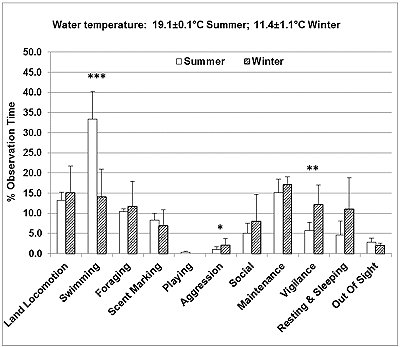 Chart showing the eleven state behaviours plotted against percentage of observation time, with summer and winter nex to each other.  In summer, twice as much time was spent swimming as in winter. In winter somewhat more time was spent in other behaviours, particularly vigilance and resting/sleeping.  Click for larger verson.