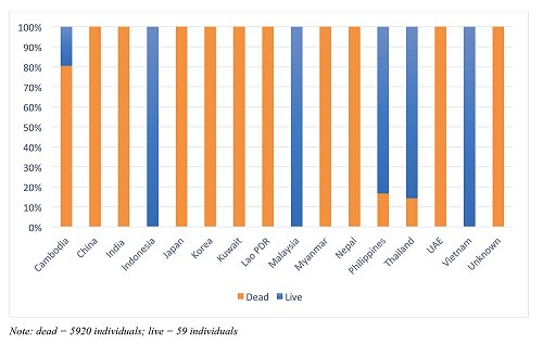 Relative proportions of live and dead otters siezed shown by country.  In Indonesia, Malaysia and Vietnam, all animals were live; in China, India, Japan, Kirea, Kuwait, Lao PDR, Myanmar, Nepal and UAE, all were dead.  In Cambodia, PHillippines and Thailand, both live and dead were found.  The total of dead otters was 5920 and live was 59.  Click for larger version.