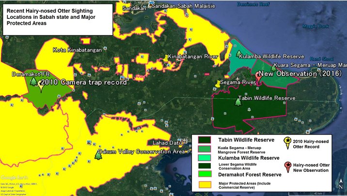 The north east peninsula of Borneo, with Deramakot Forest Reserve in the centre. and Kulamba Wildlife Reserve and Kuala Segama Meruap Mangrove Forest Reserve adjacent to each other at the coast.  THe 2010 sighting is in the centre of Deramakot, and the 2016 signting is on the inland edge of Kuala Segama.  Click for larger version.