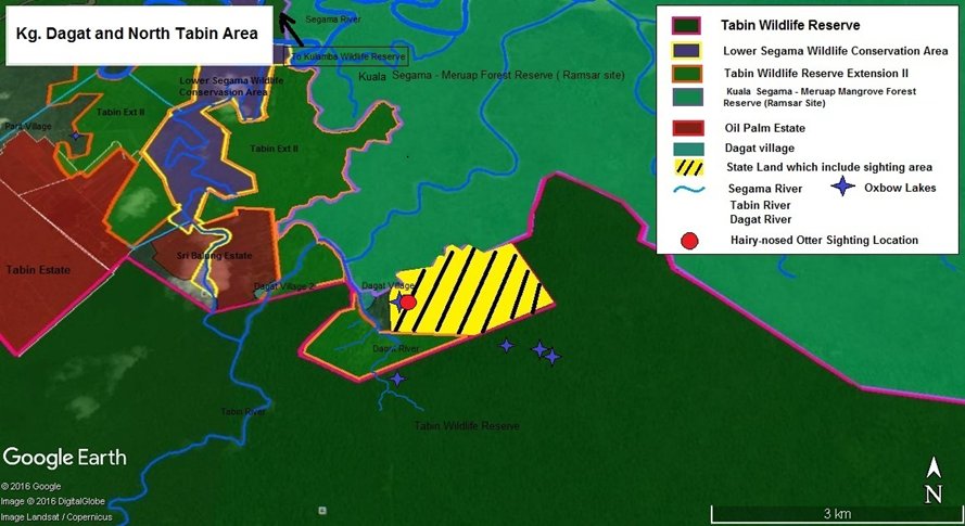 Close-up map of the Dagat and North Tabin area, showing the sighting point on the oxbox lakes on state land right next to Dagat Village.  Surrounding it are nature reserves and wildlife conservation areas, but also oil palm estates.  Click for larger version.