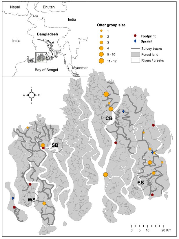 Inset map shows the location of the study area at the west end of the delta complex, near the border with India. Main map is of this seciton of the Sundarban, showing the main river courses and smaller waterways.  The West Wildlife Sanctuary is at the west end, opening  onto the sea; Satkhira block is north east of this, further inland.  Chandpai block is further north east, and is furthest from the open sea.  East wildlife sanctuary is south east, near the sea. Click for larger version.