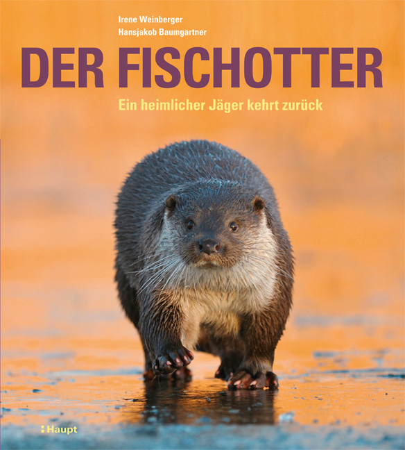Cover of Der Fischotte by Irene Weinberger and Hansjakob Baumgartner
