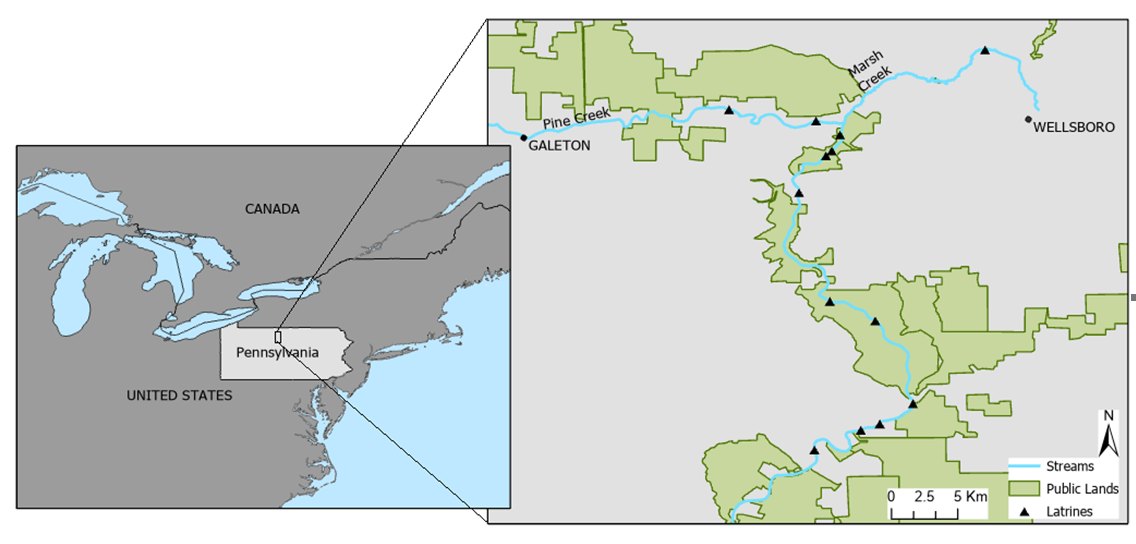 Inset map shows position of Pennsylvania in the northern USA, and the position of the study area in the north centre of the state.  Main map shows the course of Pine Creek from top left to centre bottom; its tributary March Creek runs from its source top right near Wellsboro to its confluence with Pine Creek top centre.  Most of the course of Pine Creek is through or adjacent to public land.  The latrines sampled are mainly along Pine Creek, with one about halfway along Marsh Creek. 