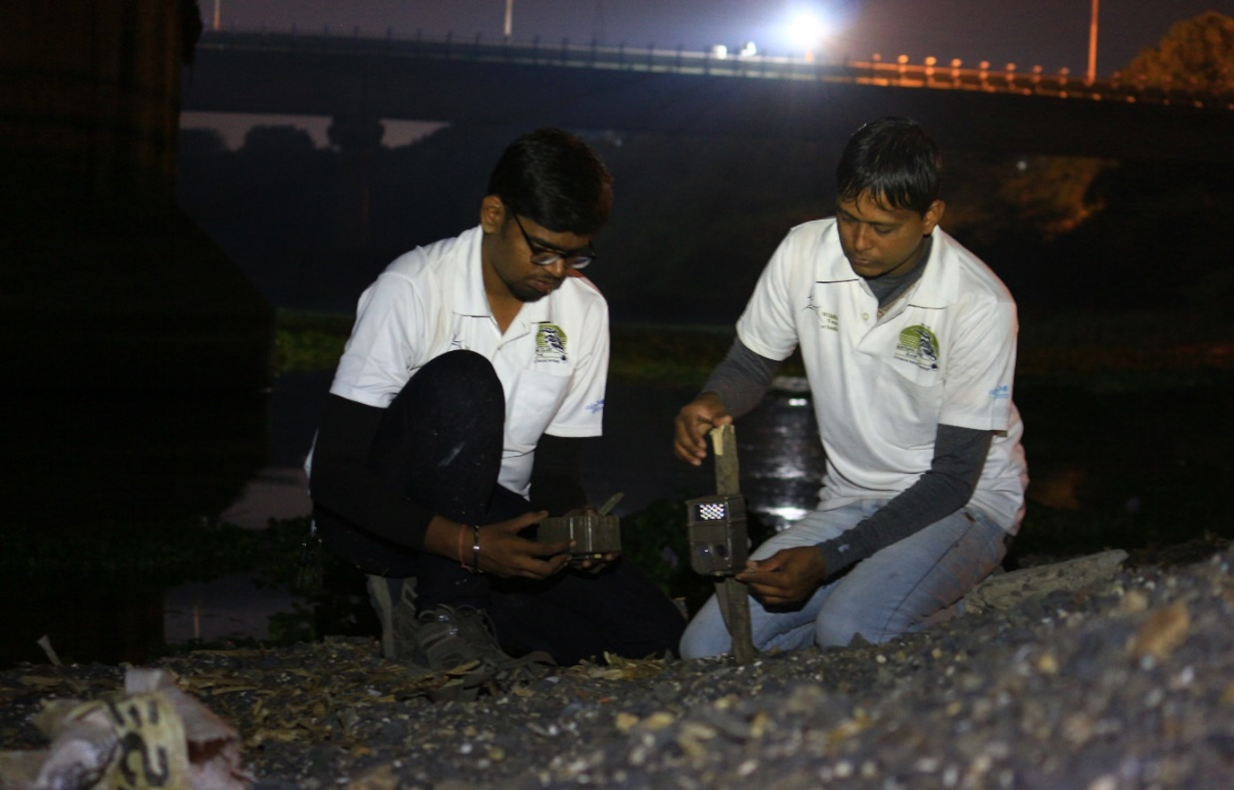 The author at night, setting up a camera trap on a stake on a gravelly substrate.